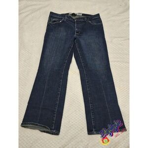 Gap Womens Blue Boot Cut Denim Jeans Stretch Cotton Blend Size 12 33x28